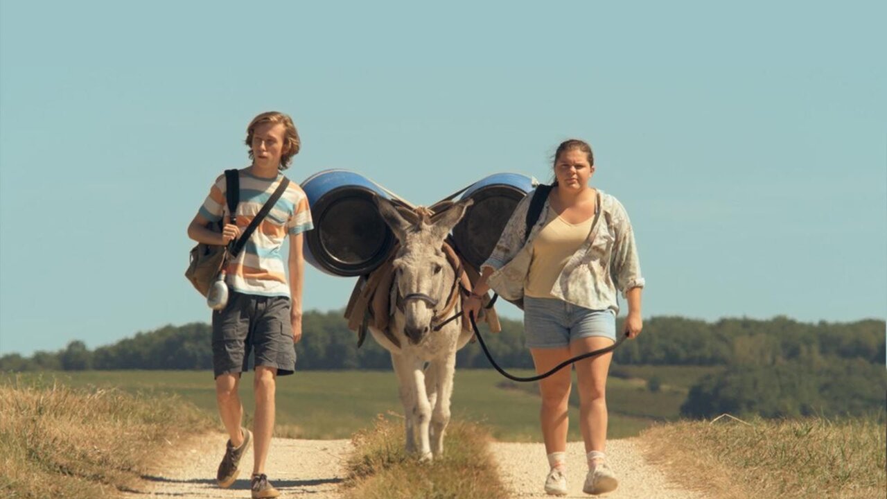 Super-bourrés streaming gratuit Super-bourrés streaming gratuit