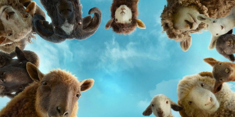 The Sheep Detectives