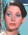 Brigitte Stein