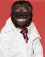 Crystal the Monkey