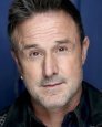 David Arquette