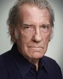 David Warner