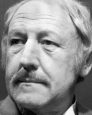Georges Wilson