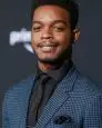 Stephan James