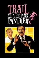Fiche du film À la recherche de la panthère rose