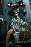 Affiche Baaghi 4