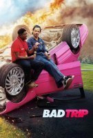 Affiche Bad Trip Affiche Bad Trip