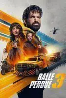 Fiche du film Balle perdue 3