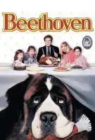 Fiche du film Beethoven
