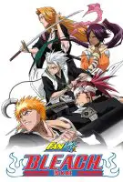 Affiche Bleach Kai