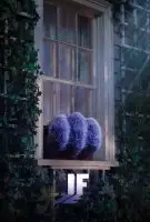 Fiche du film Blue & Compagnie