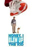 Fiche du film Chérie, j'ai agrandi le bébé