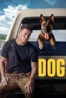 Affiche Dog
