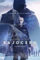 Affiche Froid mortel