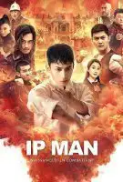 Ip Man : Naissance d’un combattant