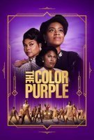 Affiche La Couleur pourpre