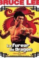 Affiche La Fureur du Dragon