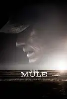Affiche La Mule