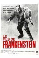 Fiche du film Le Fils de Frankenstein
