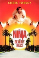 Fiche du film Le Ninja de Beverly Hills