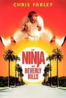 Le Ninja de Beverly Hills