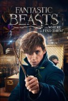 Fiche du film Les Animaux Fantastiques