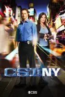 Affiche Les Experts : Manhattan en streaming