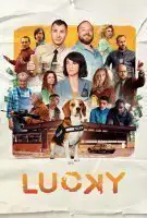 Fiche du film Lucky