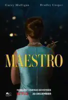Affiche Maestro