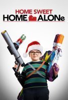 Fiche du film Maman, j'ai raté l'avion ! (ça recommence)