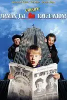Fiche du film Maman, j'ai encore raté l'avion