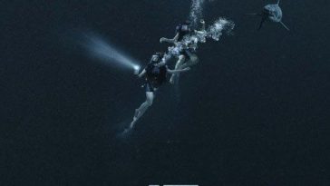 47 Meters Down
