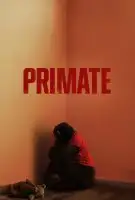 Affiche Primate