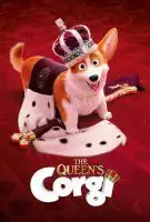 Royal Corgi