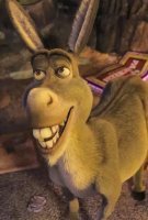Fiche du film Shrek : Spin-off sur l'âne