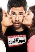 Fiche du film Situation amoureuse : c'est compliqué