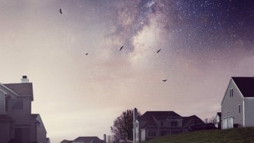 The OA