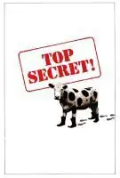 Affiche Top Secret