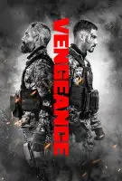 Affiche Vengeance