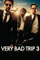 Fiche du film Very Bad Trip 3