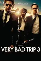 Fiche du film Very Bad Trip 3