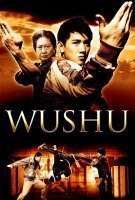 Fiche du film Wushu