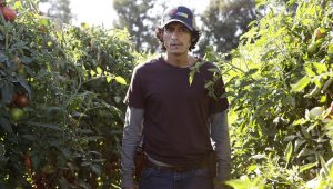 American Crime Story Saison 3 Episode 4
