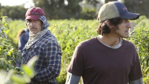 American Crime Story Saison 3 Episode 4