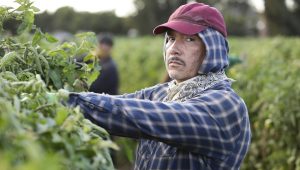 American Crime Story Saison 3 Episode 4