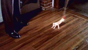 Angel Saison 1 Episode 4