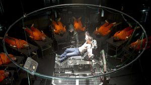 Arrow Saison 2 Episode 19