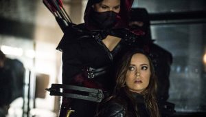 Arrow Saison 2 Episode 23