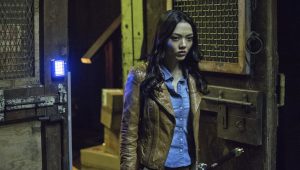 Arrow Saison 3 Episode 19