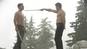 Arrow Saison 3 Episode 9